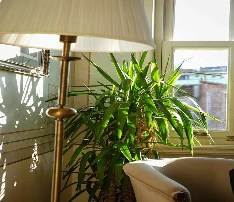 Kalite Kapı modern kapı tasarımları